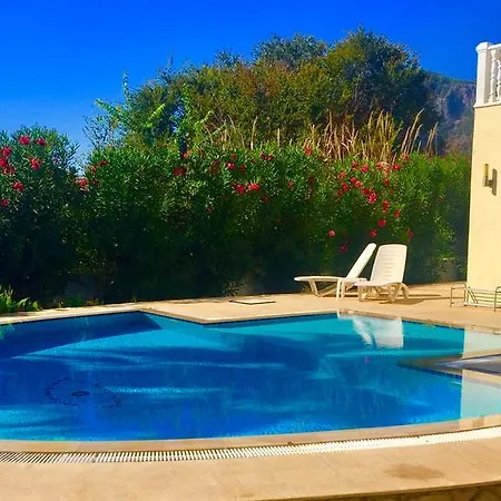 Jewel Villa *